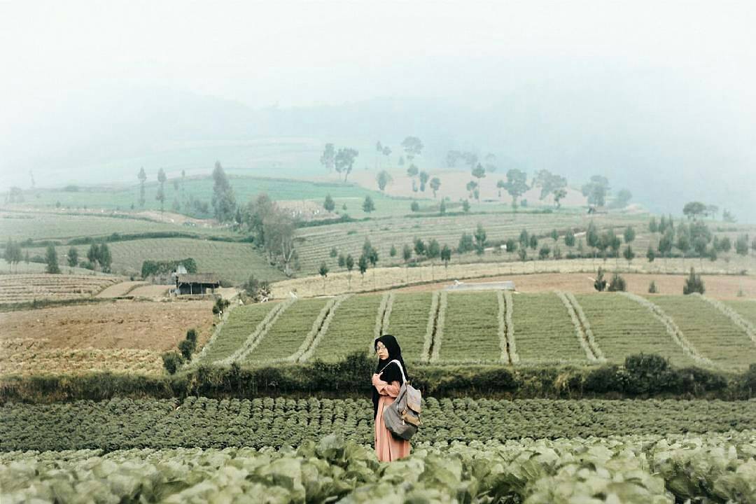 Suasana sekitar Batu ini cenderung dingin nan sejuk via @alfynad