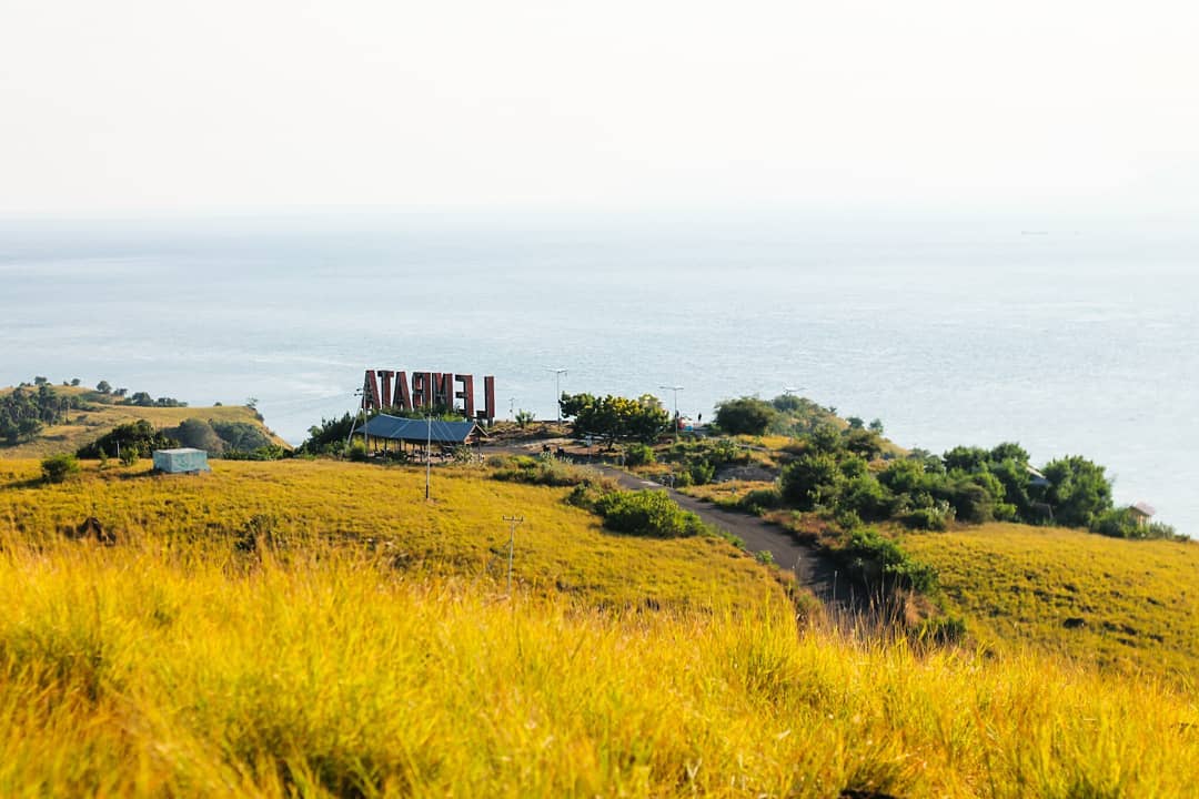 Bukit Cinta, salah satu tempat wisata di Lewoleba, lembata. via @bapa_belamun