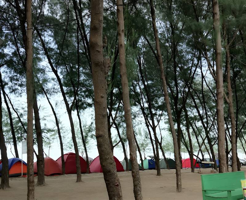 Mangrove Center