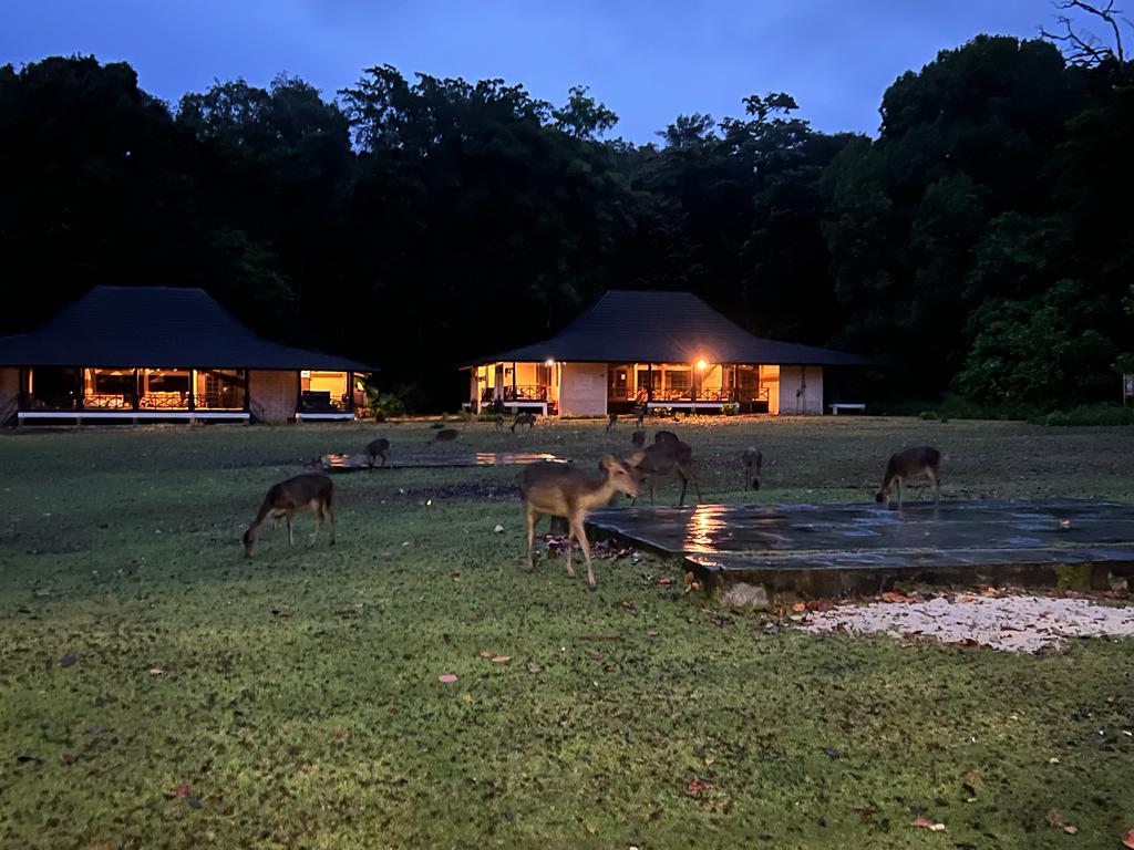 10 Paket Wisata Ujung Kulon Banten 2 Hari 1 Malam Murah Mulai Rp.500.000, Simak Referensi Ini