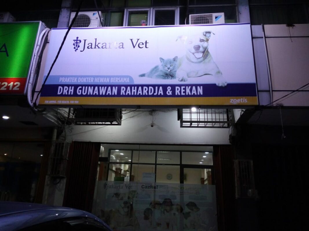 10 Rekomendasi Dokter Hewan di Jakarta Pusat Terbaik! - Praktek drh. Gunawan Rahardja 10 Rekomendasi Dokter Hewan di Jakarta Pusat Terbaik! - Praktek drh. Gunawan Rahardja