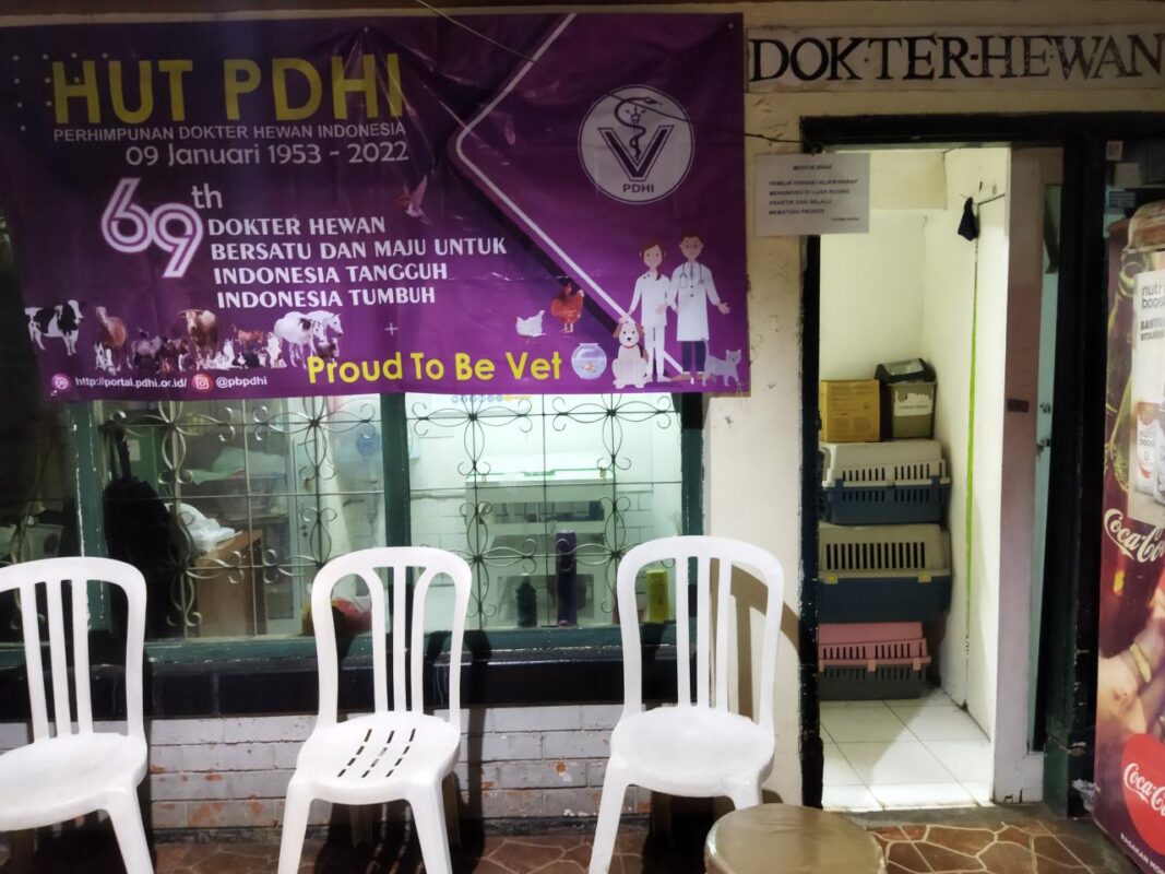 10 Rekomendasi Dokter Hewan di Jakarta Pusat Terbaik! - Praktek drh. Dwi Wahyuni 10 Rekomendasi Dokter Hewan di Jakarta Pusat Terbaik! - Praktek drh. Dwi Wahyuni