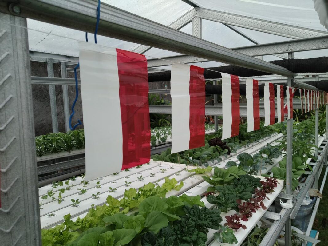10 Rekomendasi Toko Pertanian di Wilayah Denpasar Yang Murah dan Memiliki Produk Lengkap - Kebun Karta