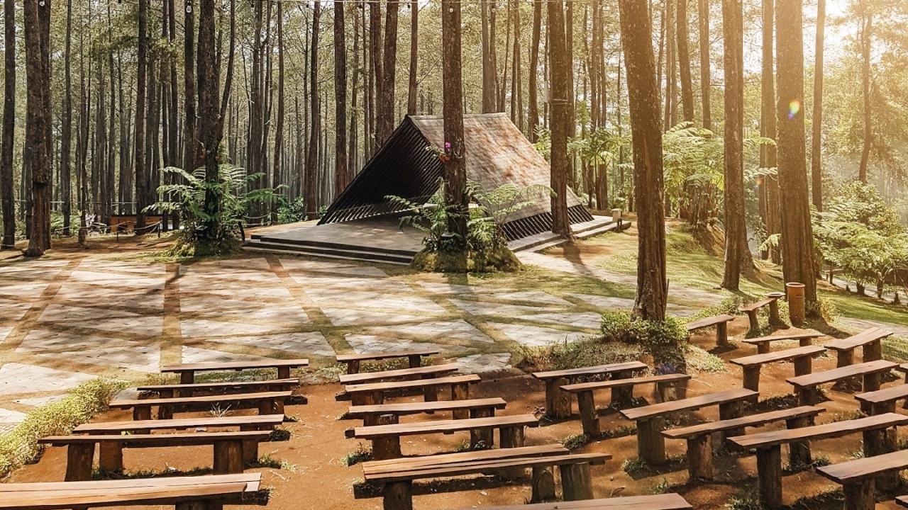 10 Tempat Instagramable di Bandung Terbaru Murah Untuk Weekend! - Orchid Forest Cikole 10 Tempat Instagramable di Bandung Terbaru Murah Untuk Weekend! - Orchid Forest Cikole