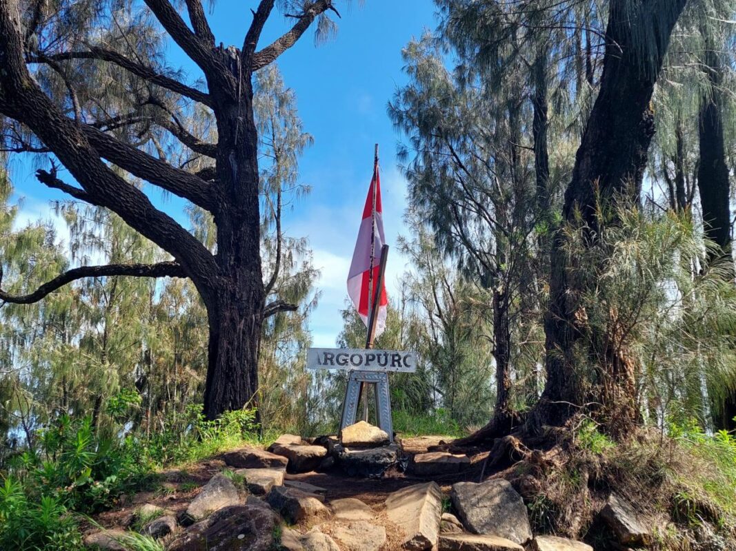 Gunung Tertinggi di Pulau Jawa yang Menarik Untuk Didaki - Gunung Argopuro Gunung Tertinggi di Pulau Jawa yang Menarik Untuk Didaki - Gunung Argopuro