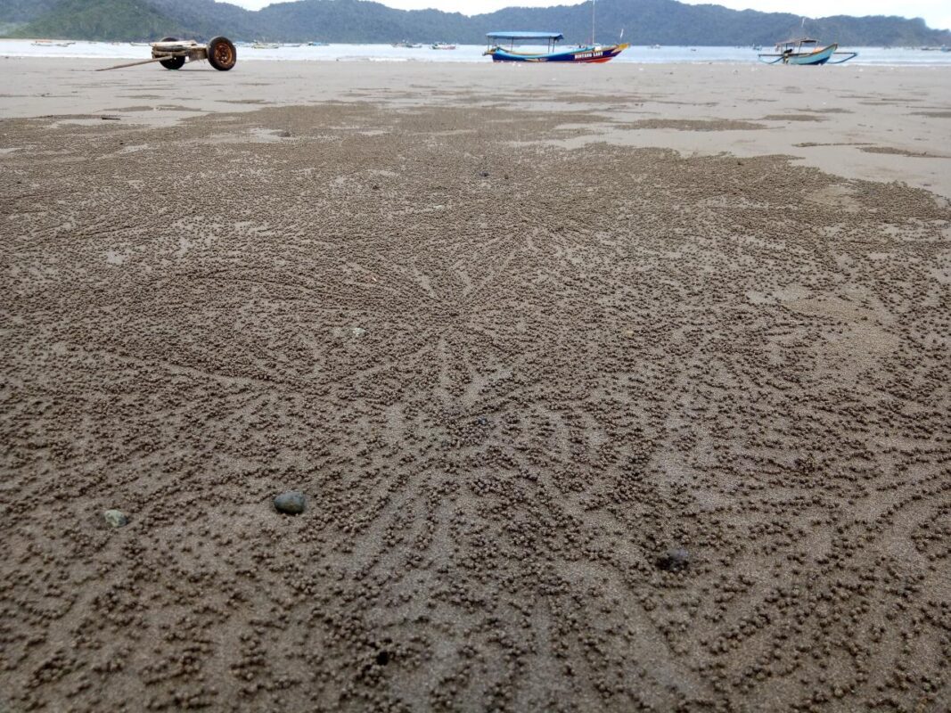 Pesona Pantai Rajegwesi yang Membuat Anda Terpesona