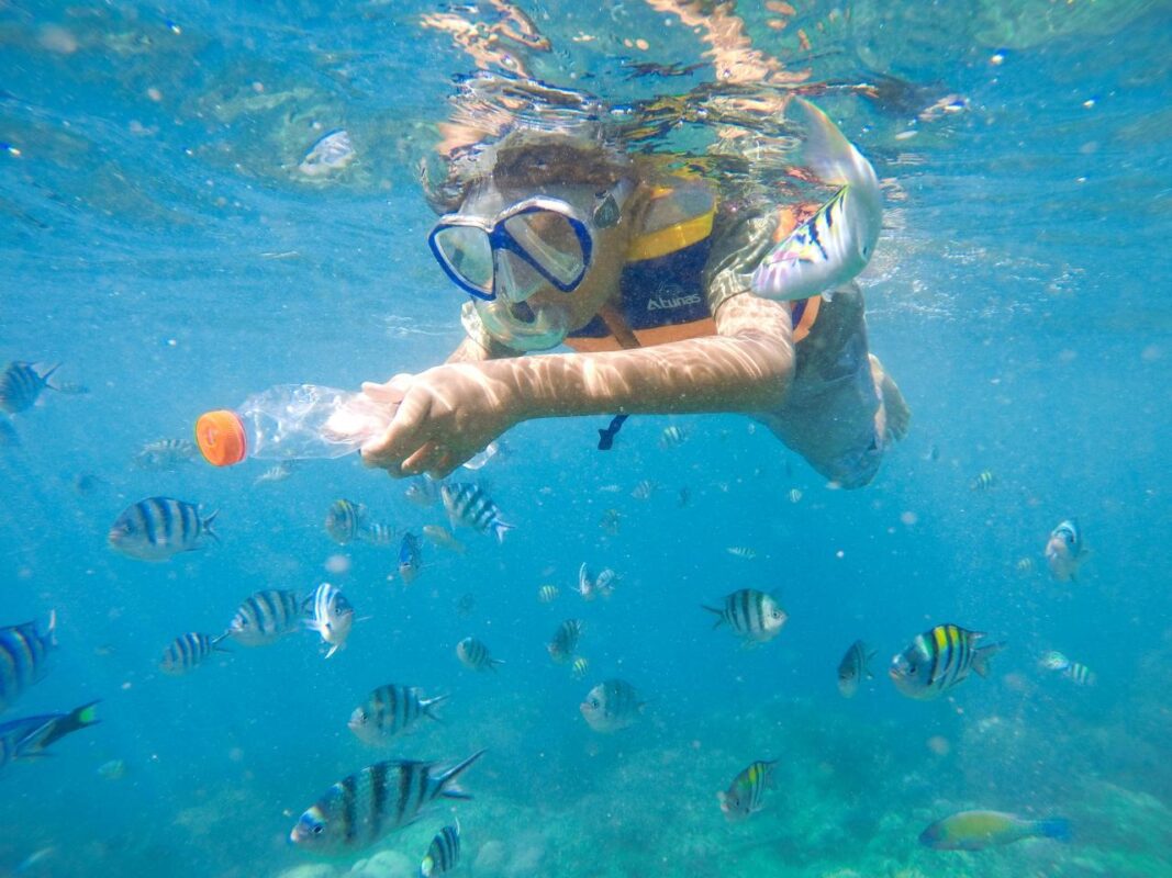 Pengalaman Snorkeling di Pantai Gili Nanggu Lombok Pengalaman Snorkeling di Pantai Gili Nanggu Lombok